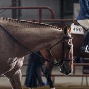 Meet your Posher, Cathy